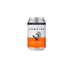 Pentire – Coastal Spritz, 4-Pack Cans